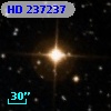 HD 237237
