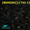 [BSM2001] CTIO-1124