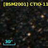 [BSM2001] CTIO-1125