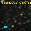[BSM2001] CTIO-1133