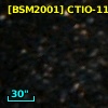 [BSM2001] CTIO-1141