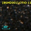 [BSM2001] CTIO-1142