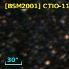[BSM2001] CTIO-1143