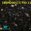 [BSM2001] CTIO-1151