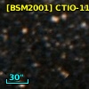 [BSM2001] CTIO-1156