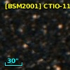 [BSM2001] CTIO-1161