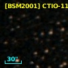 [BSM2001] CTIO-1165