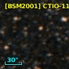[BSM2001] CTIO-1168