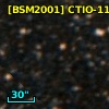 [BSM2001] CTIO-1172