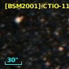 [BSM2001] CTIO-1173