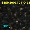 [BSM2001] CTIO-1175