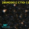 [BSM2001] CTIO-1185