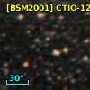 [BSM2001] CTIO-1213