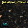 [BSM2001] CTIO-1216