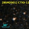 [BSM2001] CTIO-1224