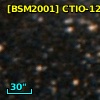 [BSM2001] CTIO-1229