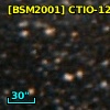 [BSM2001] CTIO-1231