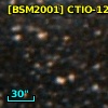 [BSM2001] CTIO-1237