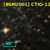 [BSM2001] CTIO-1243