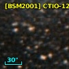 [BSM2001] CTIO-1248