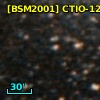 [BSM2001] CTIO-1254
