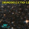 [BSM2001] CTIO-1263