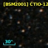 [BSM2001] CTIO-1264