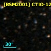 [BSM2001] CTIO-1276
