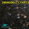 [BSM2001] CTIO-1281