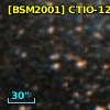 [BSM2001] CTIO-1282