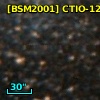 [BSM2001] CTIO-1285