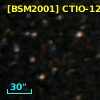 [BSM2001] CTIO-1287