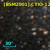 [BSM2001] CTIO-1290
