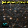 [BSM2001] CTIO-1291