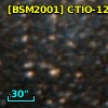 [BSM2001] CTIO-1293