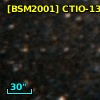 [BSM2001] CTIO-1310