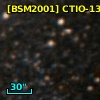 [BSM2001] CTIO-1318