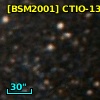 [BSM2001] CTIO-1324