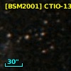 [BSM2001] CTIO-1333