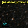 [BSM2001] CTIO-1338