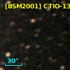 [BSM2001] CTIO-1389
