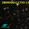 [BSM2001] CTIO-1390