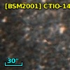 [BSM2001] CTIO-1424