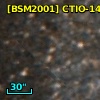 [BSM2001] CTIO-1495