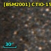 [BSM2001] CTIO-1555