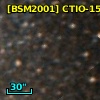[BSM2001] CTIO-1561