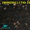 [BSM2001] CTIO-1660