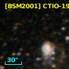 [BSM2001] CTIO-1924