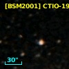 [BSM2001] CTIO-1981