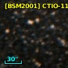 [BSM2001] CTIO-118